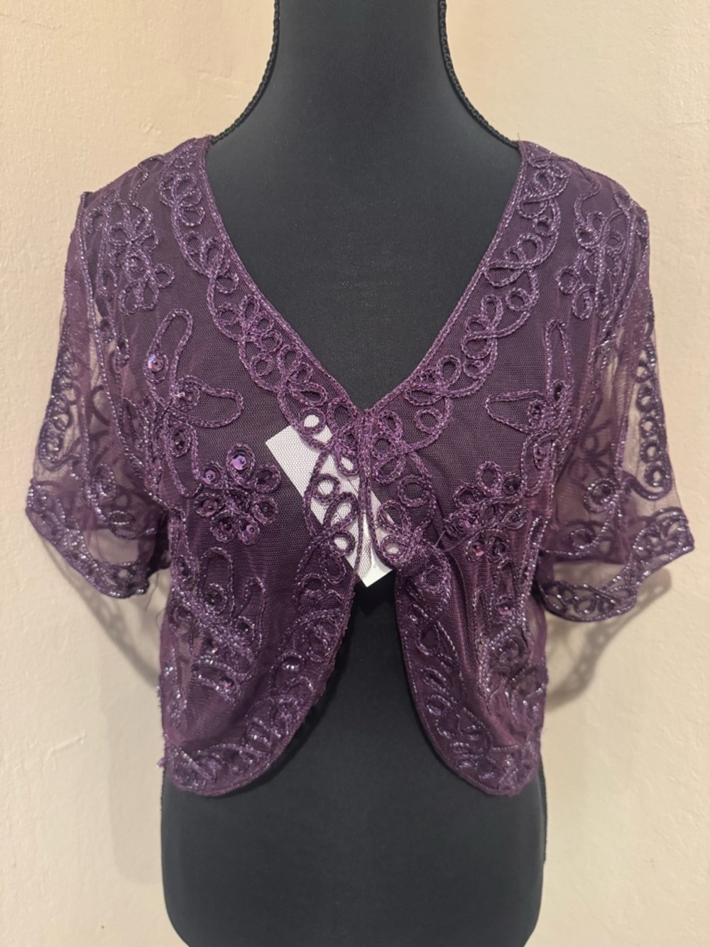 Plum Embroidered Beaded Mesh Bolero with Beadwork, Silver Threading and Sequins - Picture 2 of 8